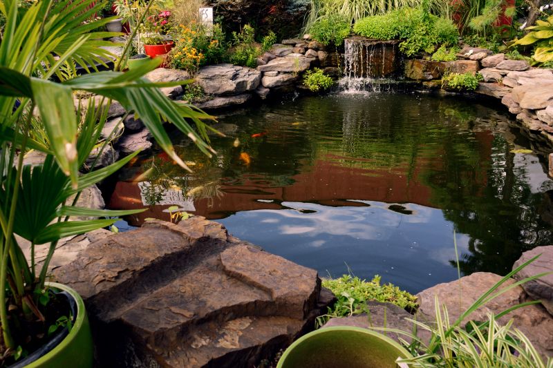 Water Garden Features
